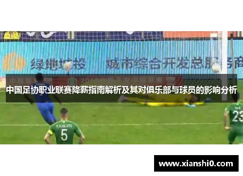 中国足协职业联赛降薪指南解析及其对俱乐部与球员的影响分析