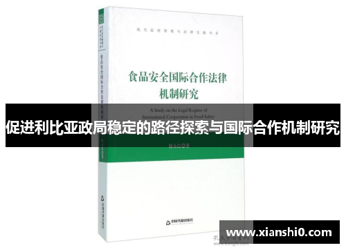 促进利比亚政局稳定的路径探索与国际合作机制研究